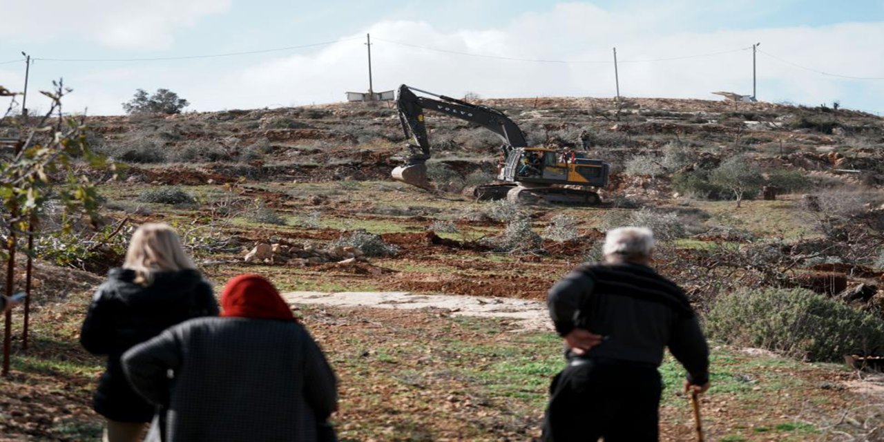 Yüzlerce zeytin ağacı işgalciler tarafından kesildi: "Güvenlik alanı" hazırlığı