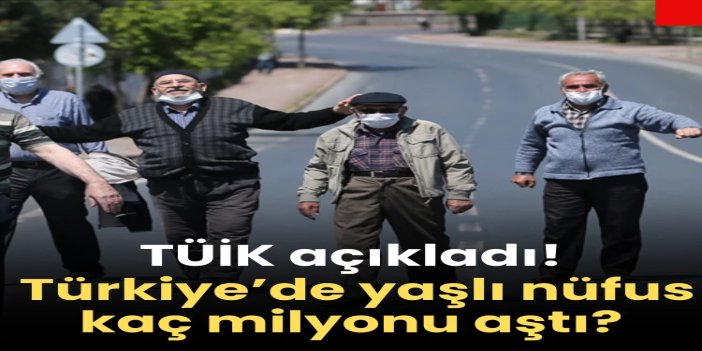 Yalnız yaşayan yaşlı sayısı 1 milyon 836 bini aştı