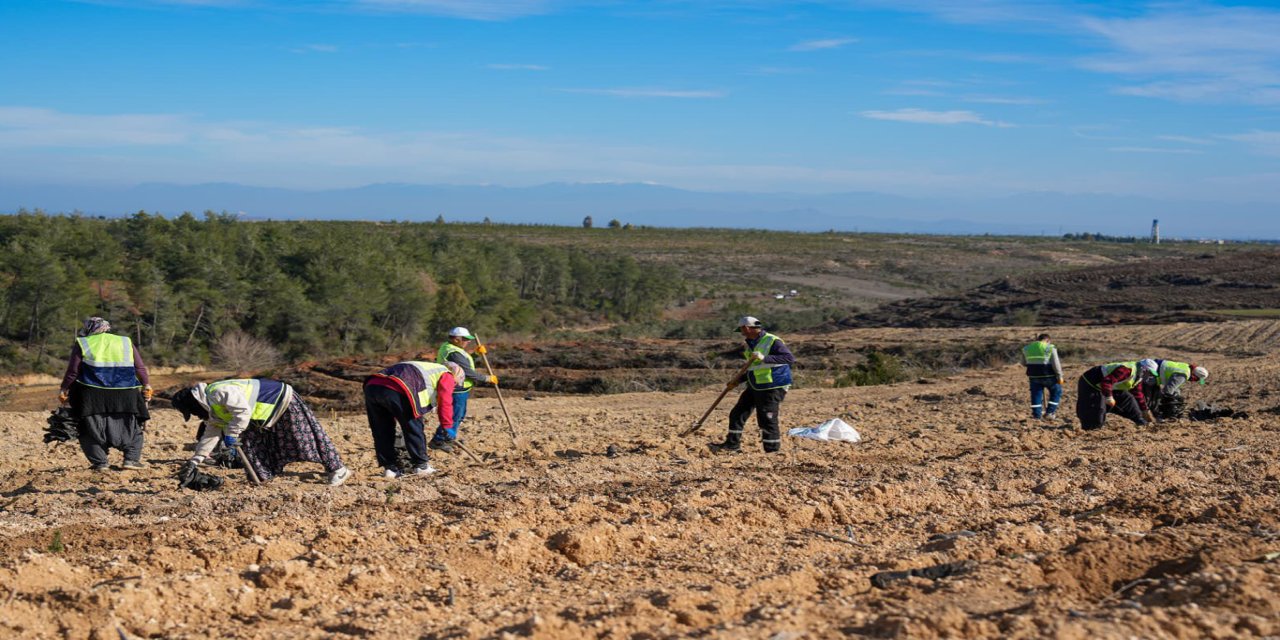 Adana’da 1,2 milyon fidan toprakla buluşturuldu