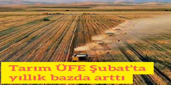 Tarım ÜFE şubat ayında arttı