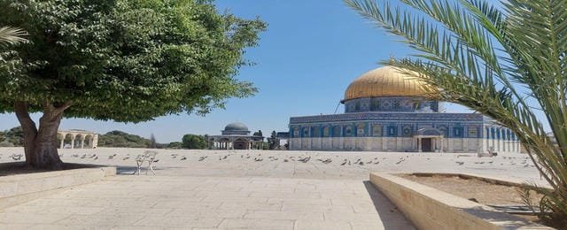 Ümmet sessiz, Mescid-i Aksa 19 gündür esir