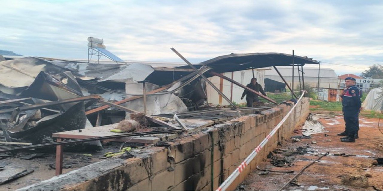 Antalya'daki yangın faciasıyla ilgili bir kişi tutuklandı