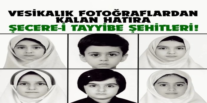 Vesikalık fotoğraflardan kalan hatıra: Şecere-i Tayyibe şehitleri