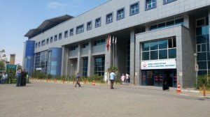 Bursa'da at eti skandalı