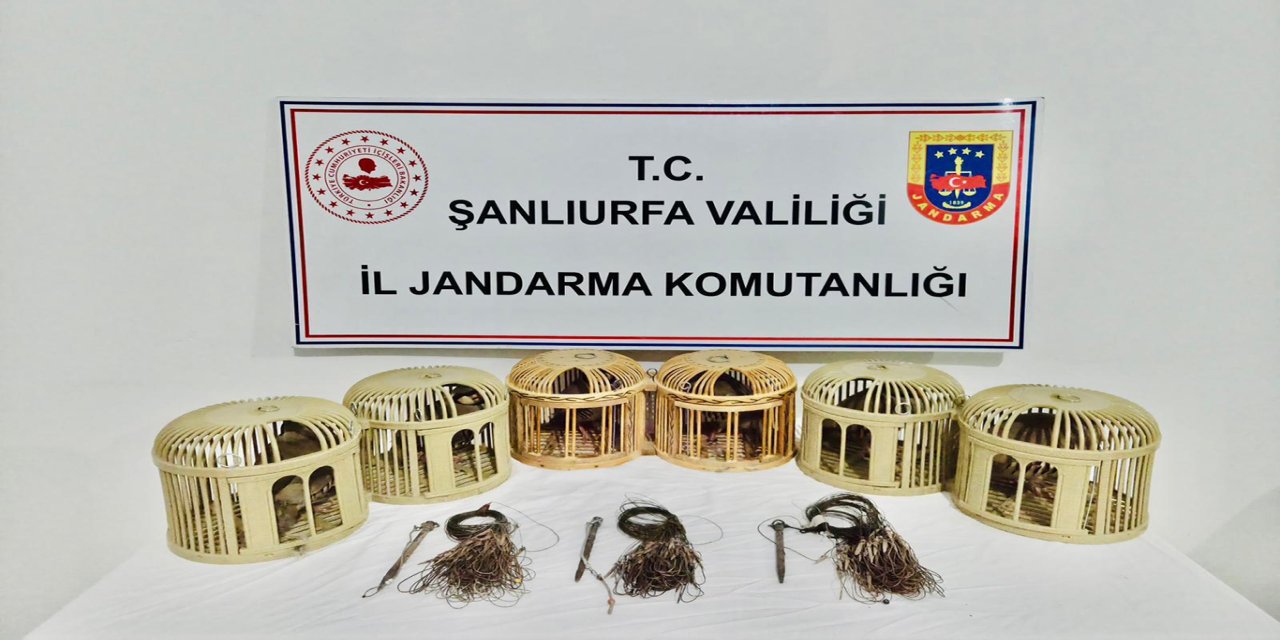 Şanlıurfa'da kaçak keklik avlayan 3 şüpheli yakalandı