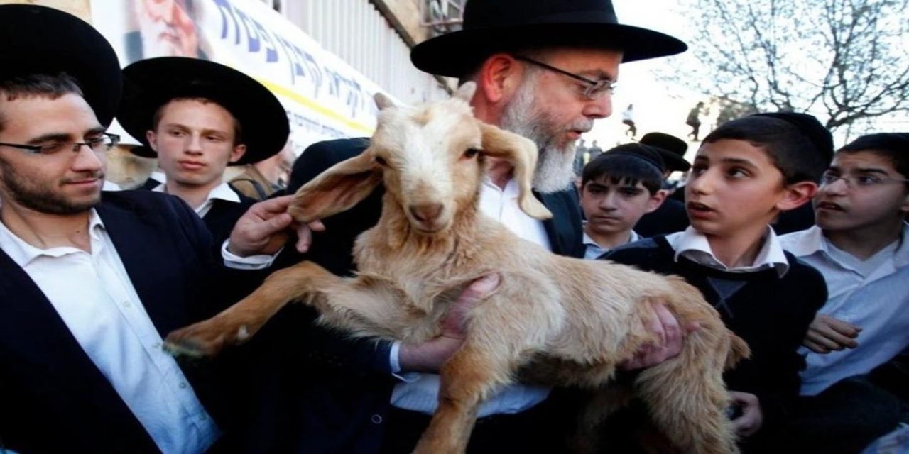 Kudüs Valiliği: Mescid-i Aksa'da hayvan kurban etme girişimi "Yahudileştirme" çabası