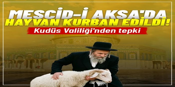 Kudüs Valiliği: Mescid-i Aksa'da hayvan kurban etme girişimi "Yahudileştirme" çabası