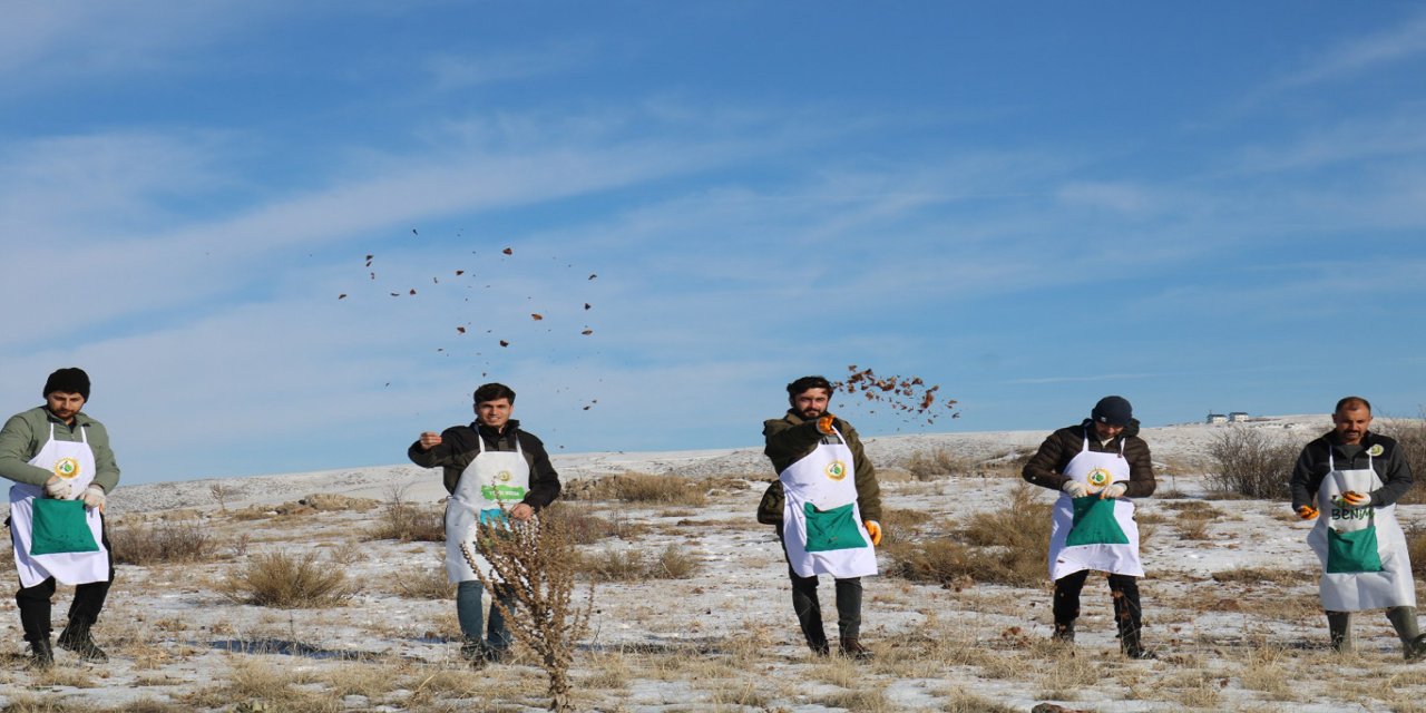 Yozgat’ta ağaçlandırma çalışmaları kapsamında sedir tohumları toprakla buluşturuldu