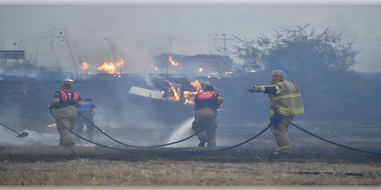 2025’te en fazla orman yangını İzmir’de çıktı