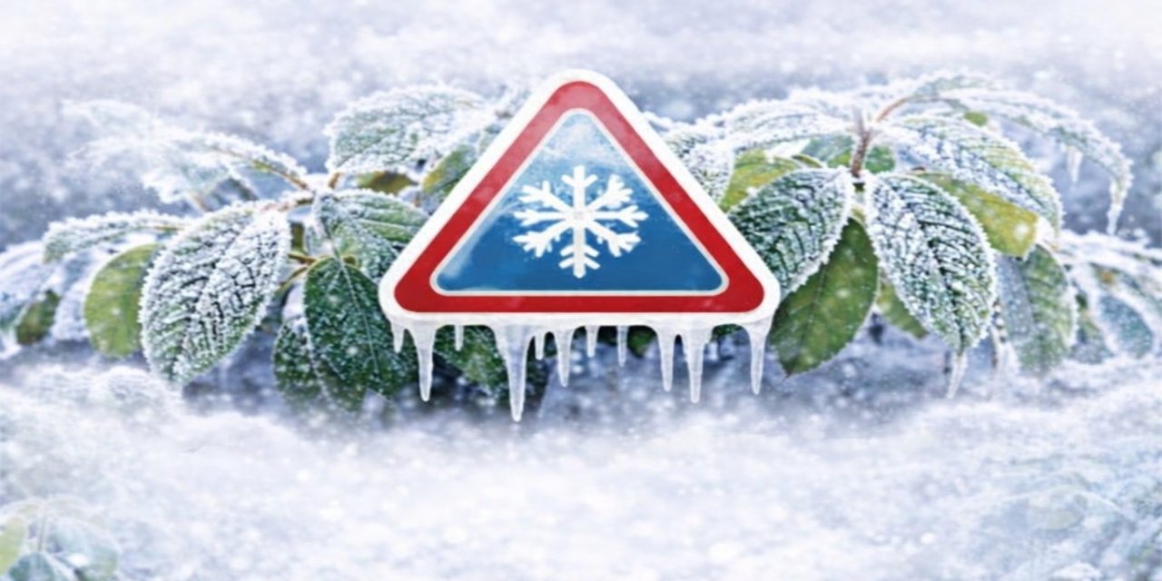 Bursa için 4 günlük zirai don uyarısı