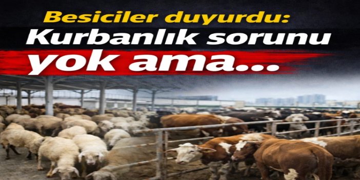 Kurbanlıkta sıkıntı yok, besicilerin gündemi yer sorunu