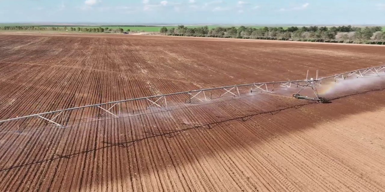Koyunbaba Barajı Sulaması’nda çalışmalar sürüyor