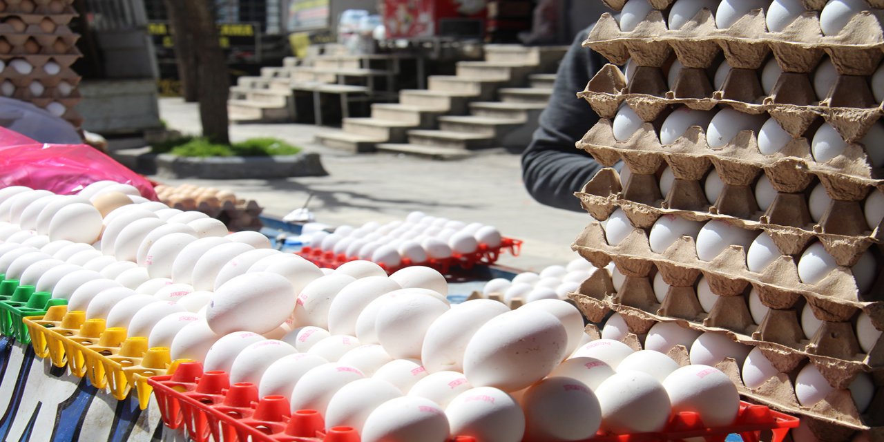 İhracat durdu yumurta fiyatları geriledi