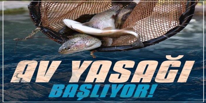 Balıkçılıkta av yasağı başlıyor