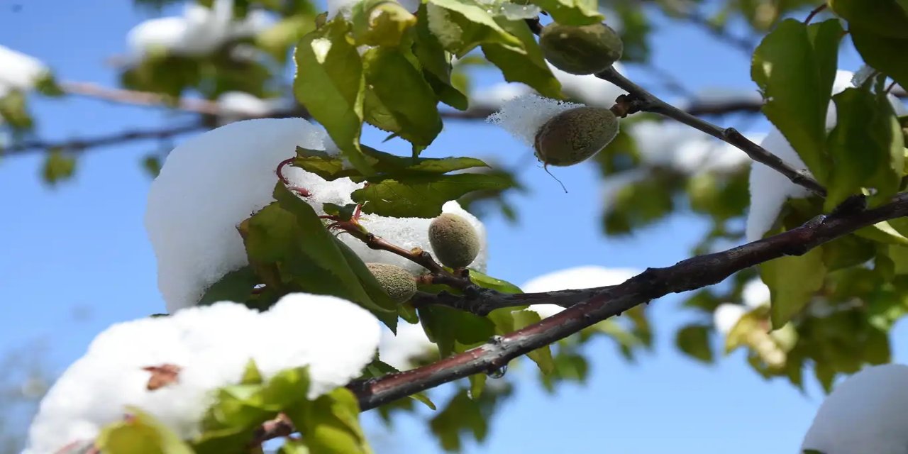 Meteoroloji uyardı: Zirai don, çığ ve toz taşınımına dikkat