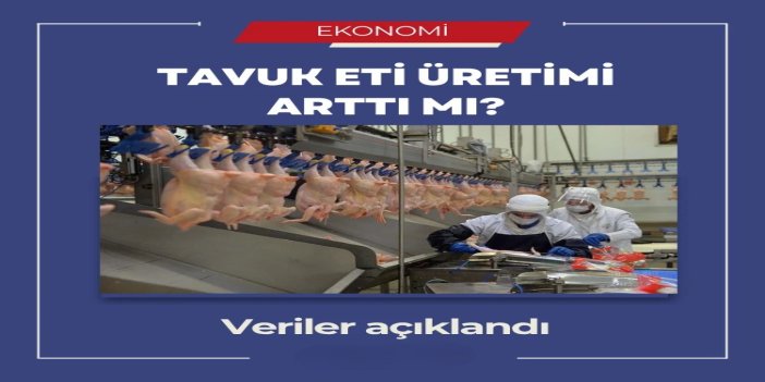Şubatta tavuk eti üretimi yıllık bazda arttı