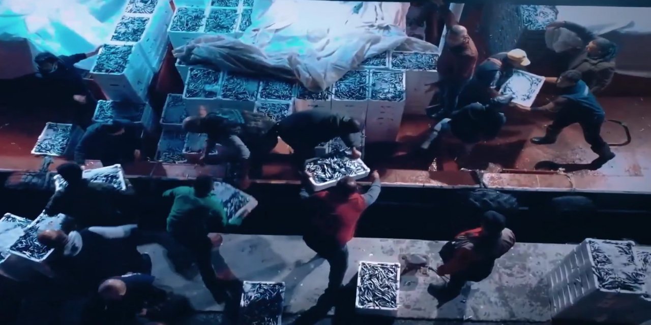 Bakan Yumaklı: Hamsi avında son yılların en verimli sezonu yaşandı