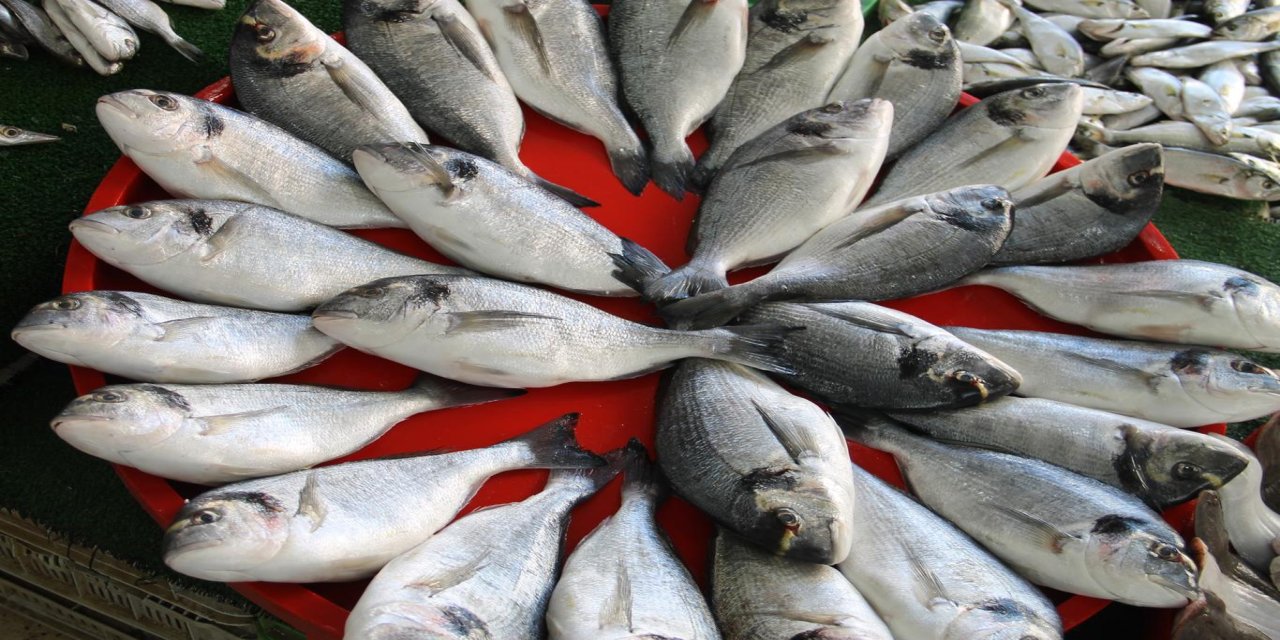 Van Gölü’nde inci kefali için av yasağı başladı