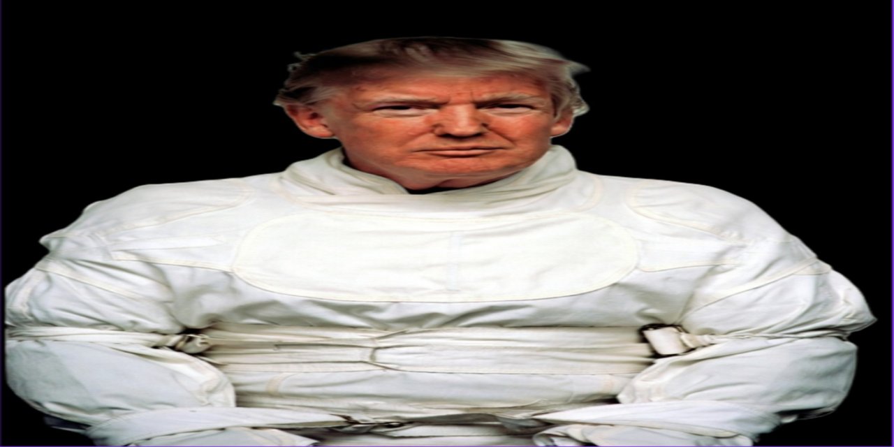 ABD’de 25. madde tartışması yeniden gündemde