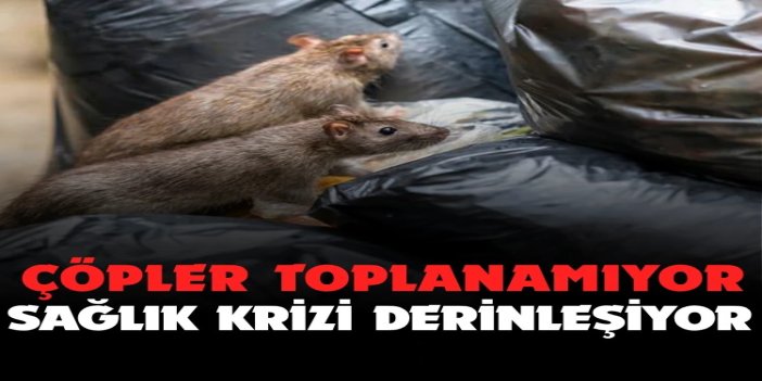 Gazze’de çöpler toplanamıyor, sağlık krizi derinleşiyor