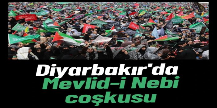 Fotoğraf kareleriyle Diyarbakır Mevlid-i Nebi etkinliği