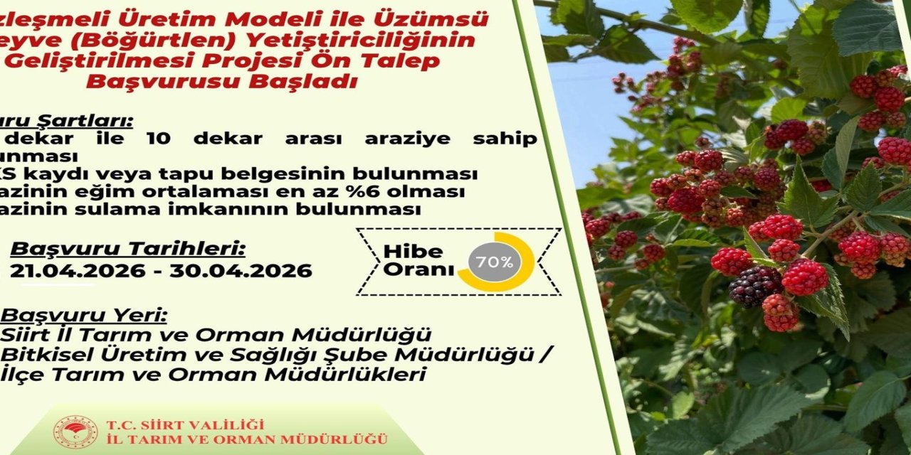 Sözleşmeli böğürtlen üretimi için ön talep başvuruları başladı