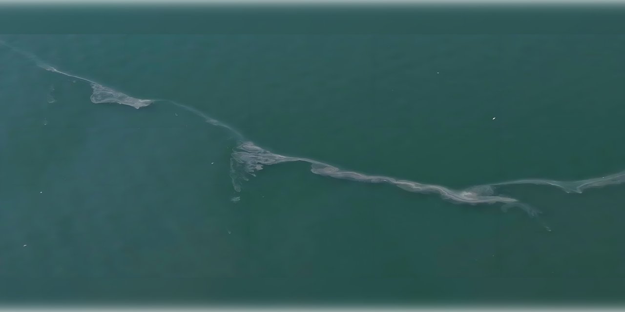 İzmir Körfezi'nde kirlilik alarmı