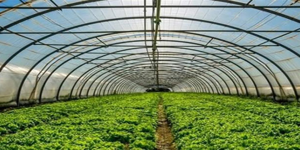 Batman'da çiftçilere yüzde 50 hibeli sera desteği başvuruları başladı