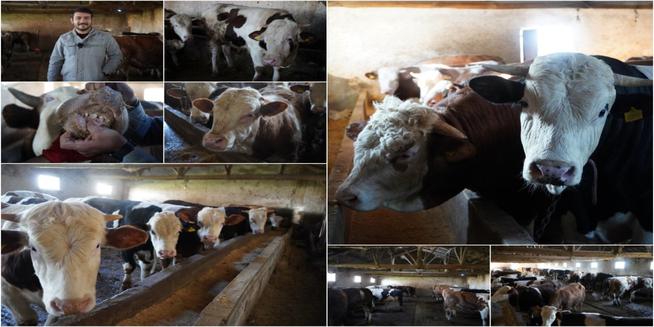 Besici Adnan Özaras: Maliyetler arttı, kurbanlık fiyatları yükseldi