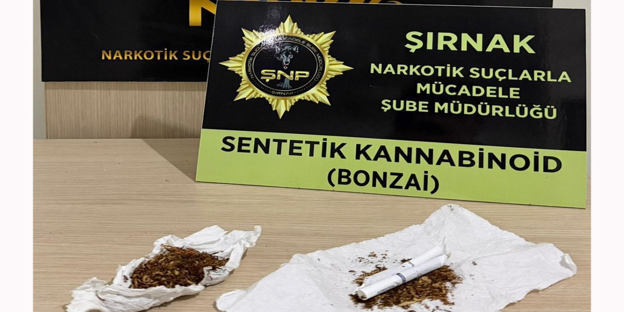 Şırnak'ta 610 milyon TL'lik kaçakçılık operasyonları