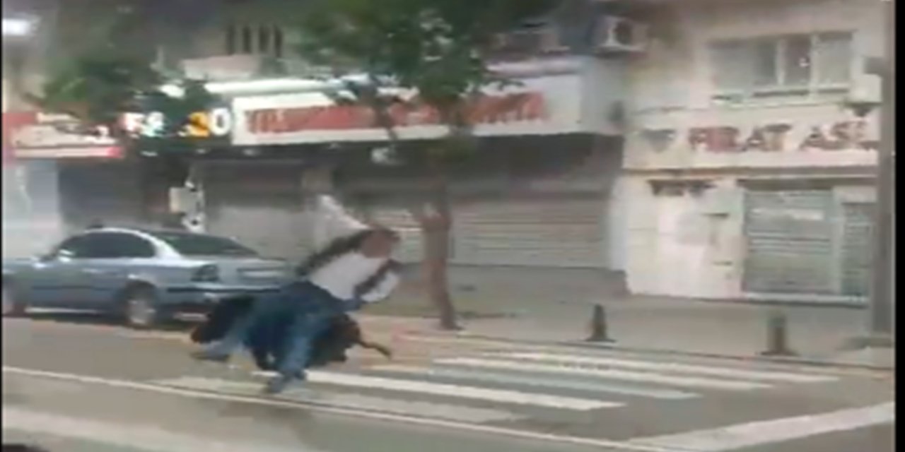 Batman'da yaban domuzu şehir merkezine indi: Bir kişi yaralandı