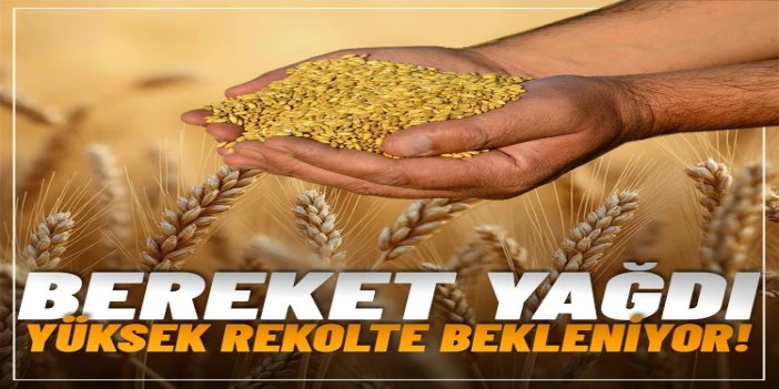 ZMO Başkanı Doğan: Buğday, arpa ve mercimekte yüksek rekolte bekliyoruz