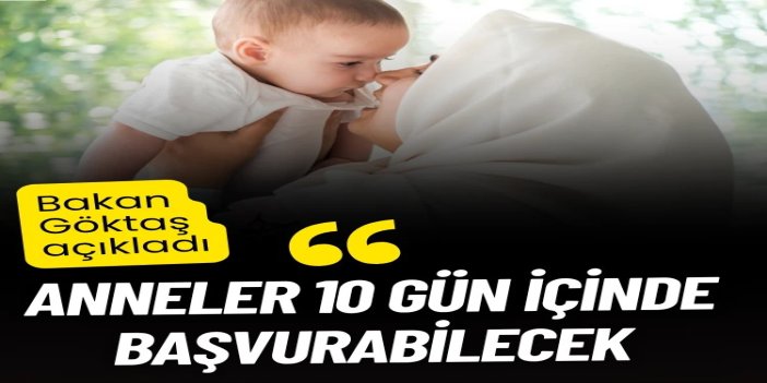 Göktaş: Anneler 10 gün içinde başvurabilecek