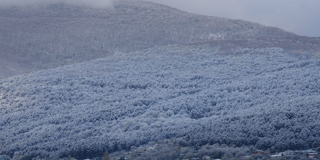 Bursa'da üreticilere "don" uyarısı