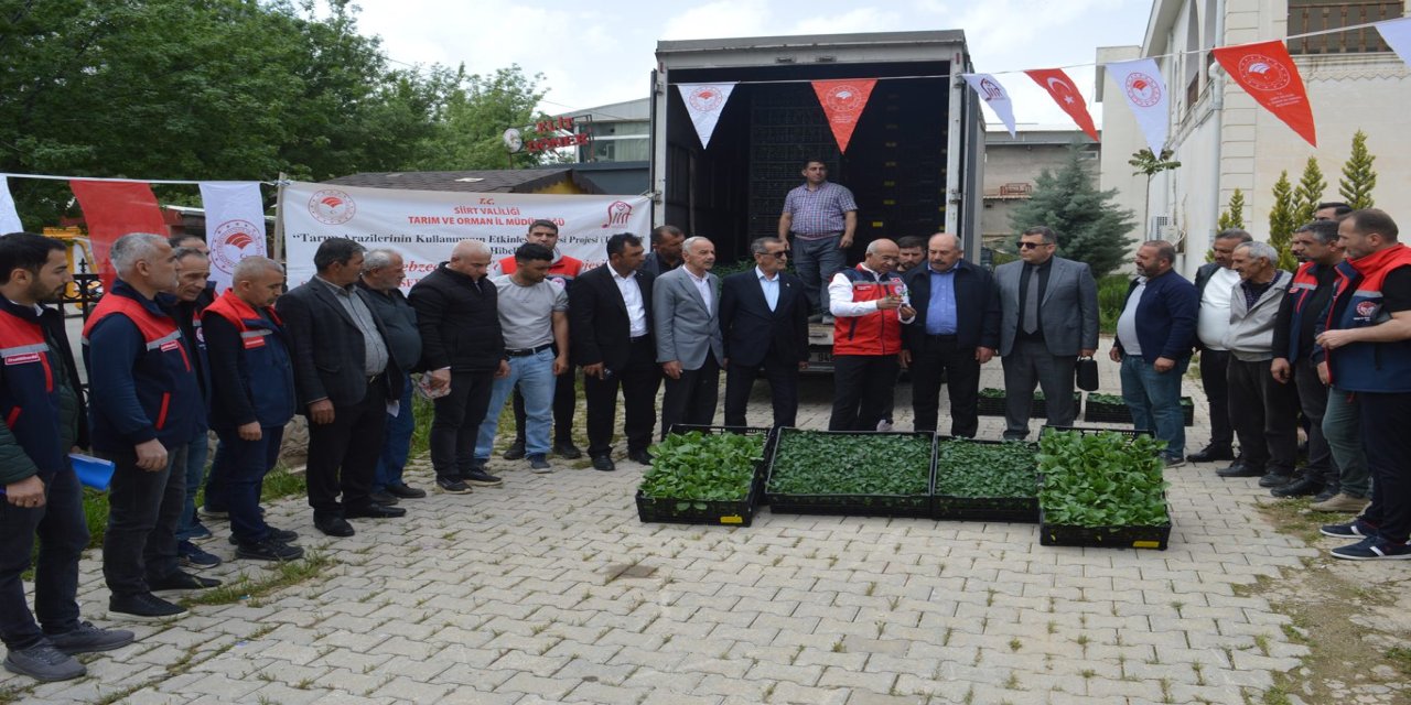 Siirt’te 70 bin sebze fidesi çiftçilere dağıtıldı