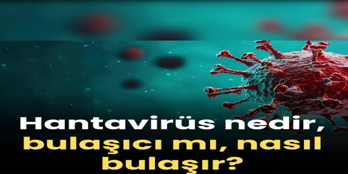 Hantavirüs nedir, bulaşıcı mı, nasıl bulaşır?