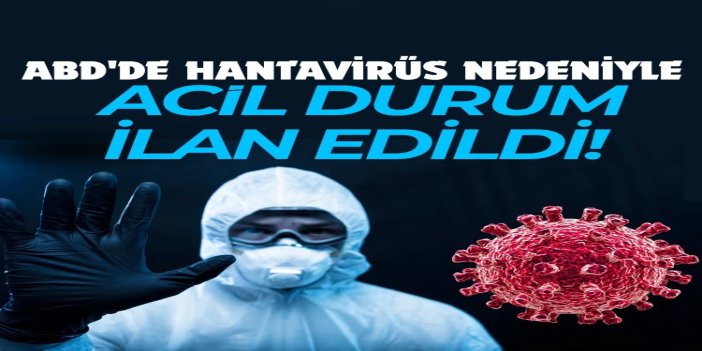 ABD'de hantavirüs nedeniyle 3.seviye acil durum ilan edildi