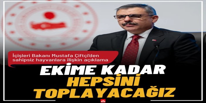 Bakan Çiftçi: Sahipsiz hayvanların yüzde 80'i toplandı