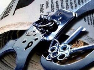 Dunja Mijatoviç'ten ABD'ye basın özgürlüğü çağrısı