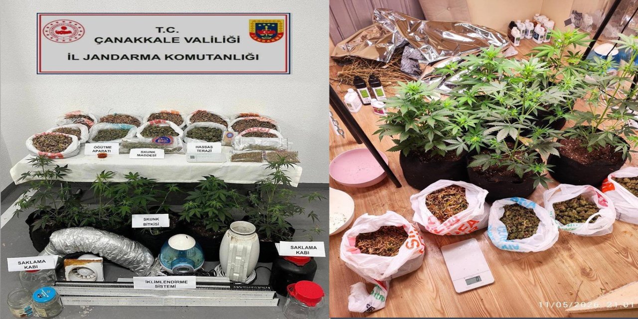 Çanakkale’de skunk operasyonu: 2 şüpheli gözaltında