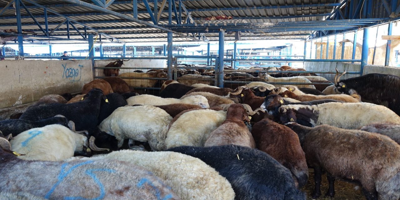 Bursa’da 140 noktada kurban kesimi yapılacak
