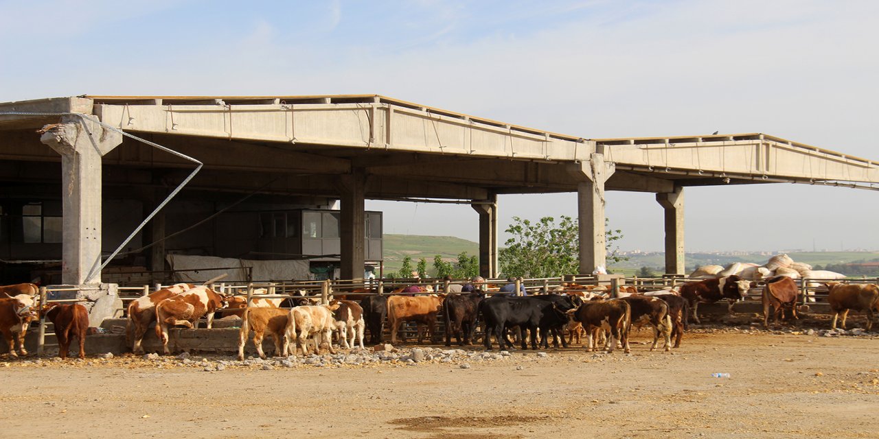 Diyarbakır'da kurban satış ve kesim yerleri belli oldu