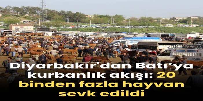 Diyarbakır'dan Türkiye'ye kurbanlık akışı: 20 binden fazla hayvan sevk edildi