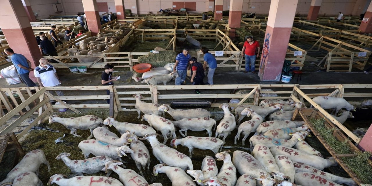Bursa'da kurban kesim için alınacak tedbirler tamamlandı