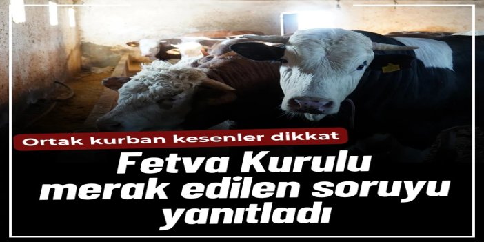 Ortak kesilen kurbanlarda niyet birliği şart mıdır?