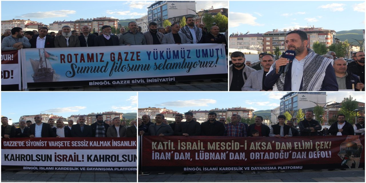 Bingöl'den işgal rejimine tepki: Aktivistler derhal serbest bırakılmalı