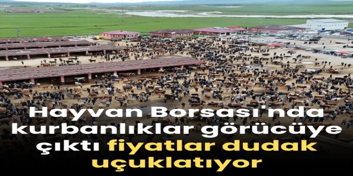 Hayvan Borsası'nda kurbanlıklar görücüye çıktı fiyatlar dudak uçuklatıyor
