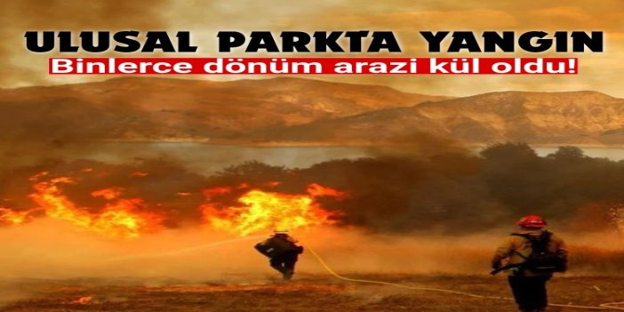 ABD’de ulusal parkta yangın faciası: 14 bin 600 dönüm alan kül oldu
