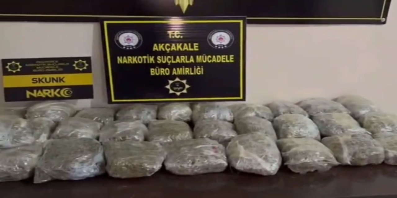 Şanlıurfa'da uyuşturucu operasyonu: Bir tutuklama