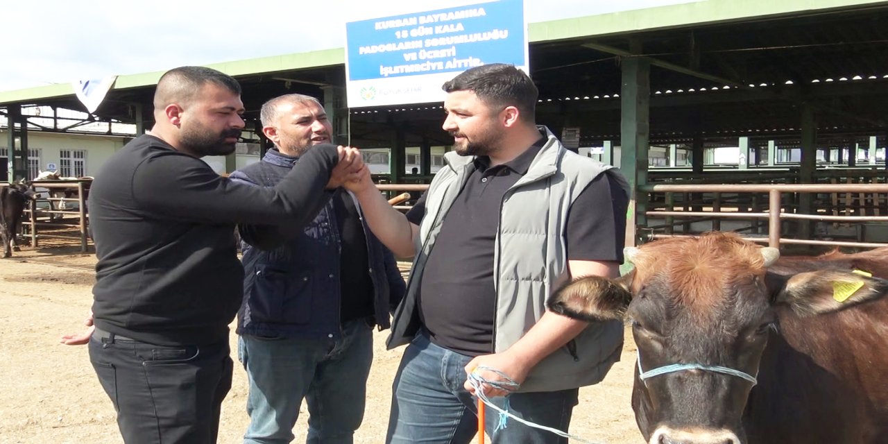 Kurban Bayramı yaklaştı, hayvan pazarlarında renkli görüntüler oluştu